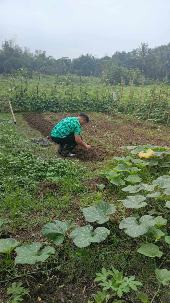 Harold working in his vegetable garden